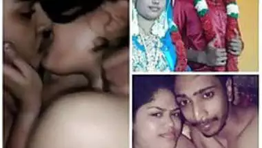 Www Sex Indents - New Indent Kannada Porn Videos indian porn movs