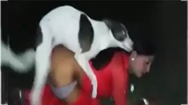 Animals Ledis Xxx Desi - Desi Aunty Fuck With Dog In A Outdoors porn video