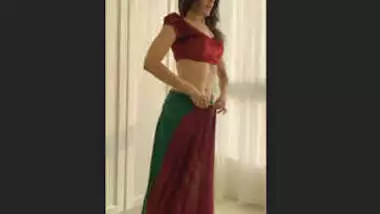 Indian Sexy Bhabhi Changing Saree