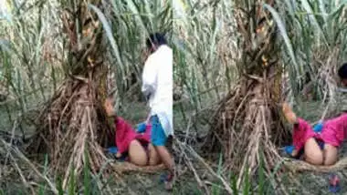 Village Jangal Mms - Village Girl Fucking In Jungle 2 Clips Merged porn video